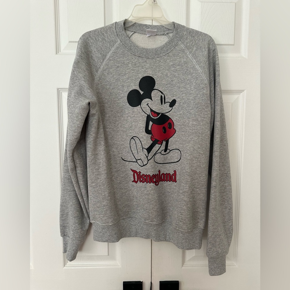Gray Disneyland Disney Parks sweatshirt (2024)